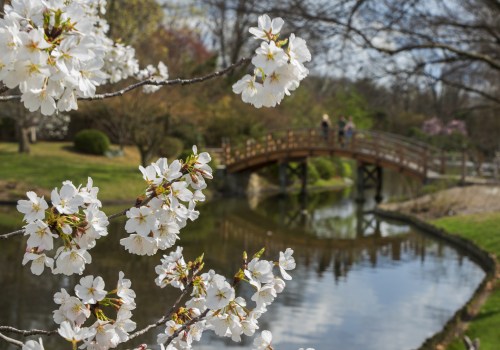 Capture the Beauty of St. Louis, Missouri with an Unforgettable Photography Tour